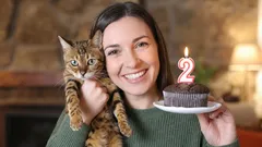 Der Geburtstag Ihrer Katze: Die Top-4-Ideen zum Gratulieren