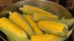 Wie und wie lange man Mais kocht, was man ins Wasser geben muss, damit er weich wird