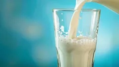 Was man der Milch hinzufügen sollte, damit sie nicht verdirbt: bewährte Tipps