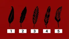 Die erste Feder, die Ihnen gefällt, verrät mehr über Sie als ein Psychologe.