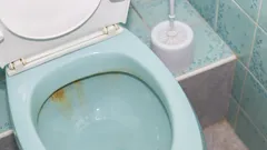 Wie Sie die Toilette von gelben Ablagerungen reinigen: unwirksame und wirksame Methoden