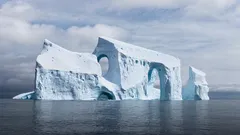 In der Antarktis wurde ein riesiges Ei eines unbekannten Wesens entdeckt